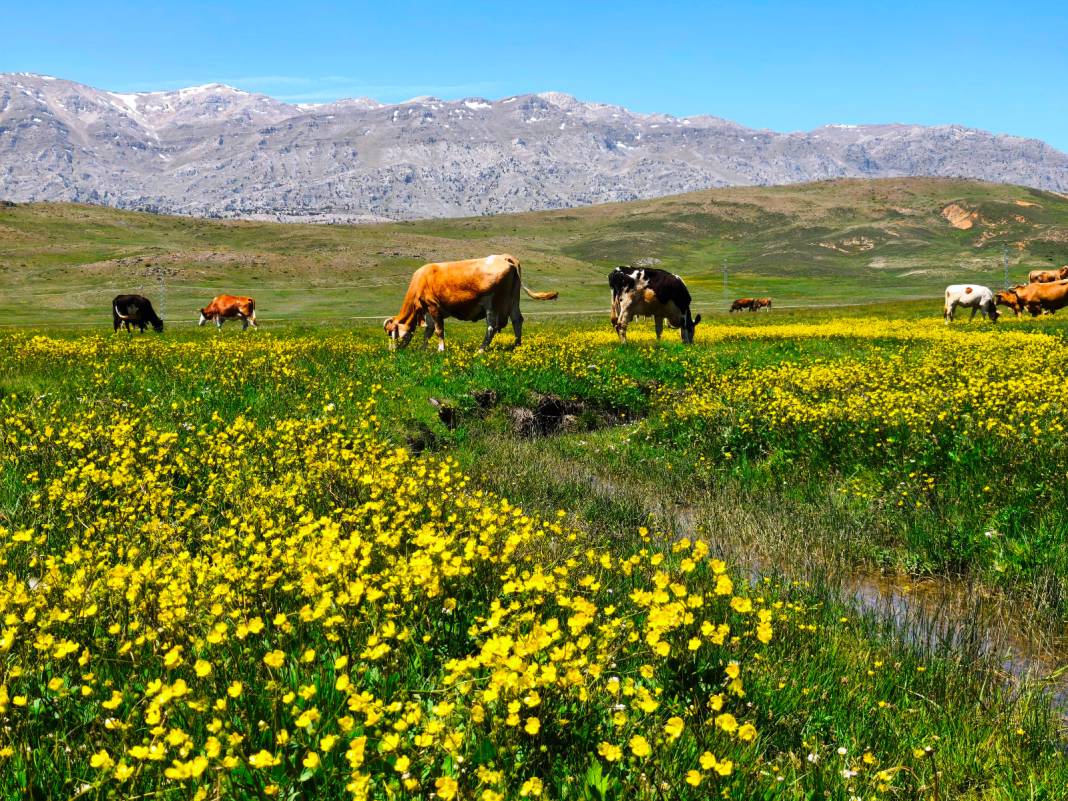 Konya’nın cennet köşesi baharı böyle karşıladı 18